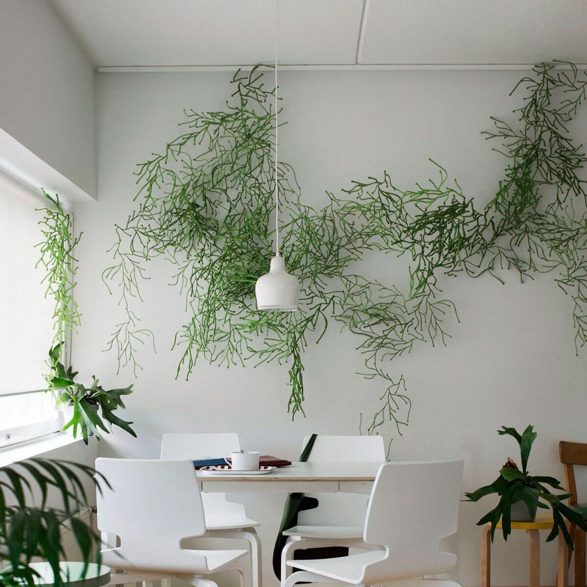 Algue - Vitra Algue - Vitra