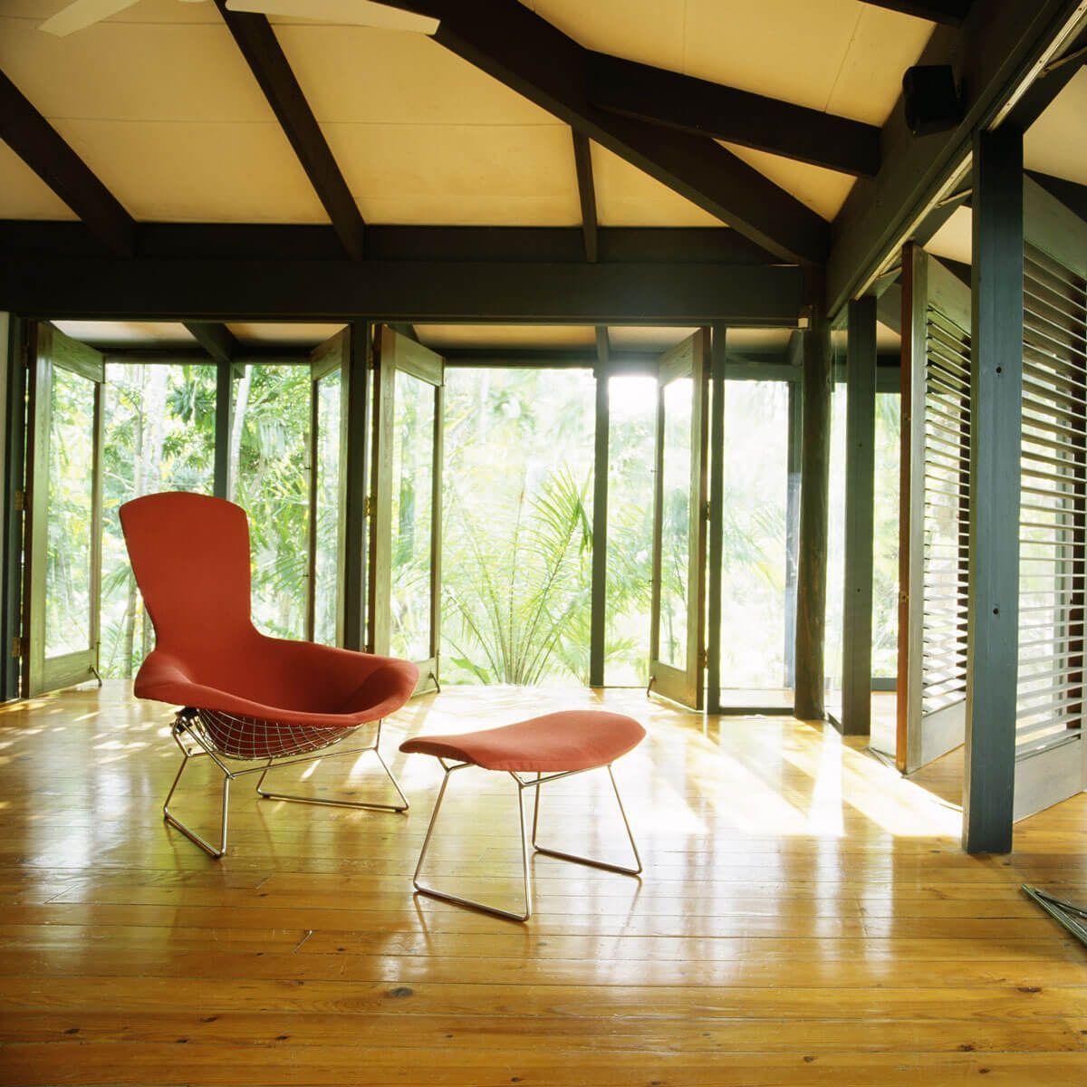 Butaca Bertoia Bird - Knoll