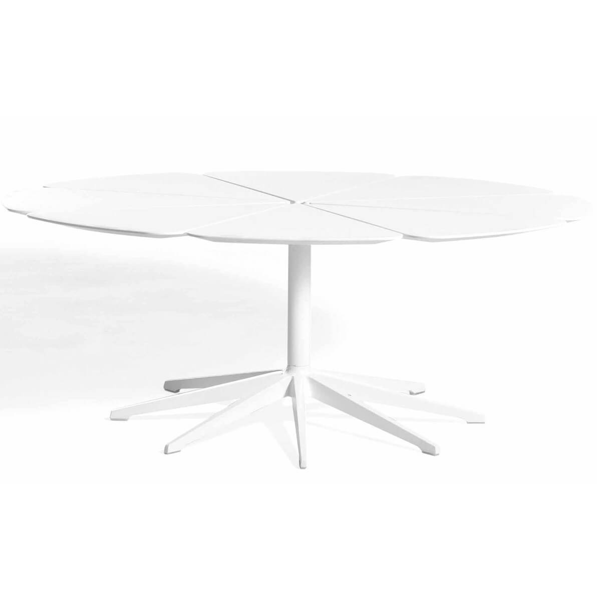 Mesa Petal Coffee - Knoll