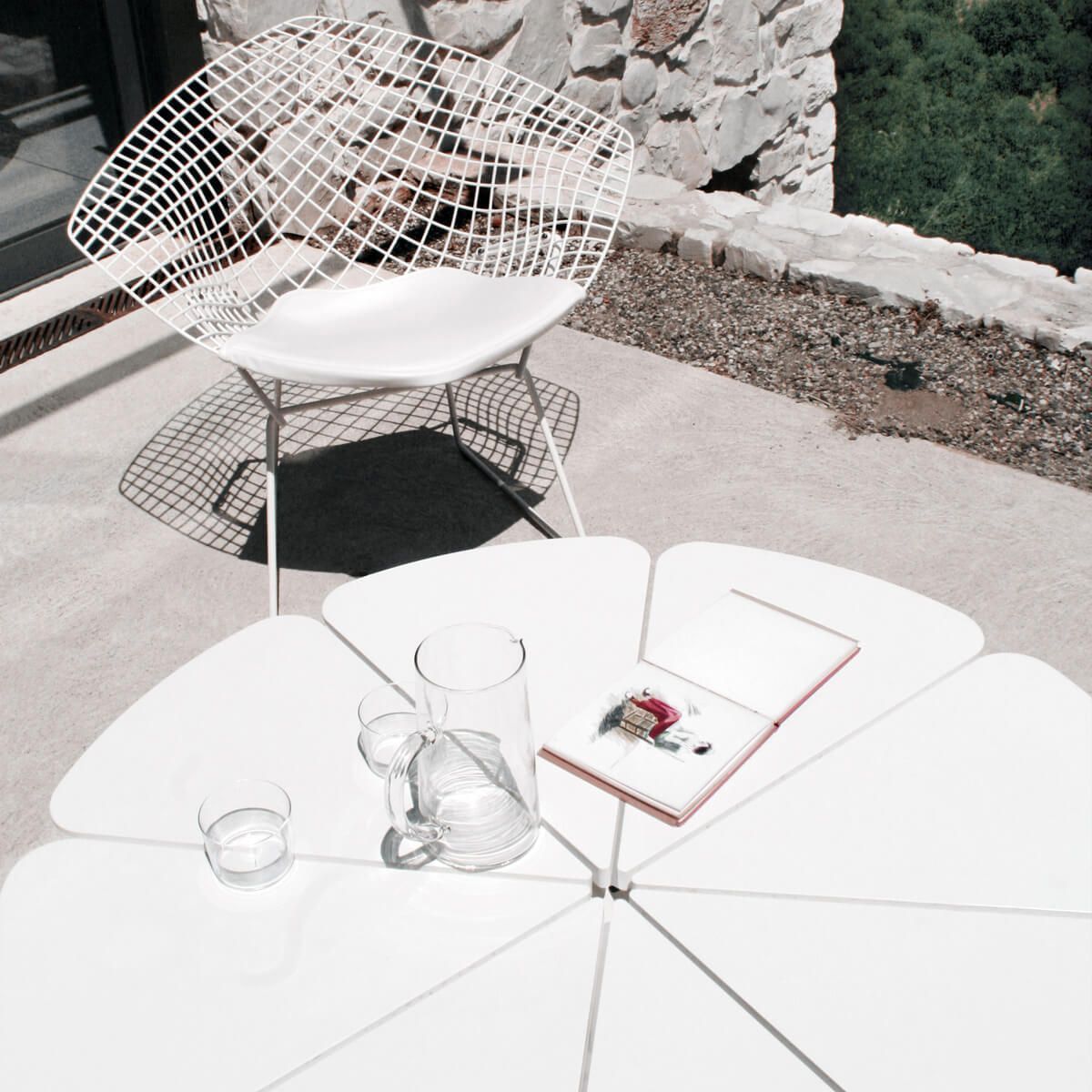 Mesa Petal Coffee - Knoll
