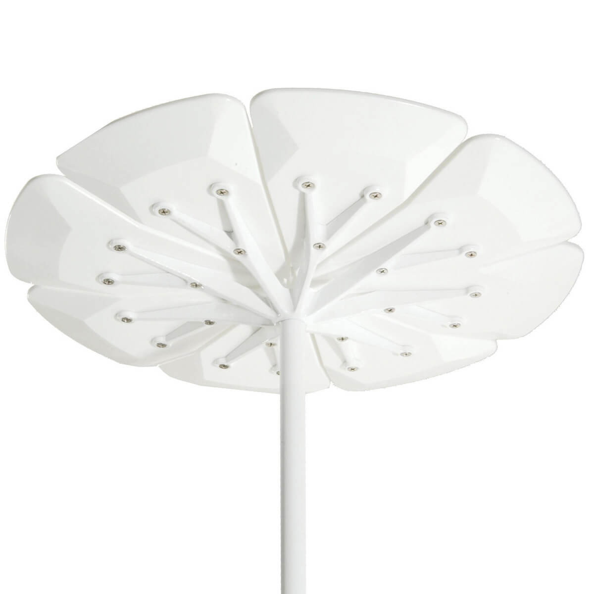 Mesa Petal Dining - Knoll
