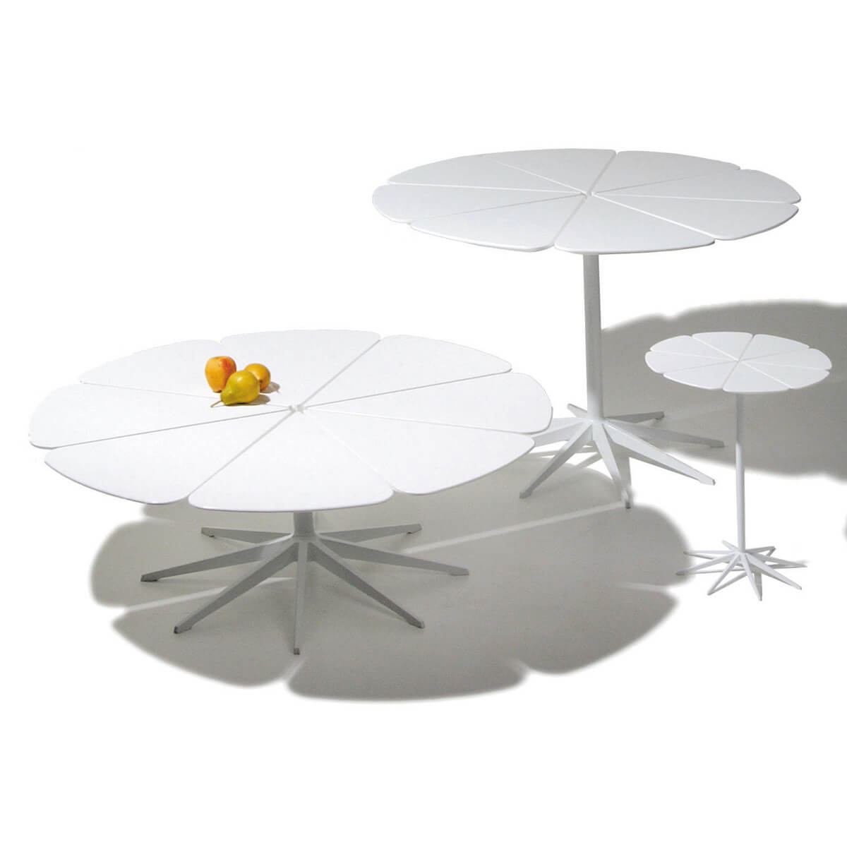 Mesa Petal Dining - Knoll