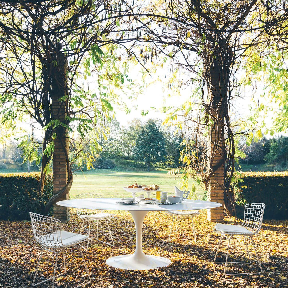 Mesa Tulip Saarinen Oval Exterior - Knoll