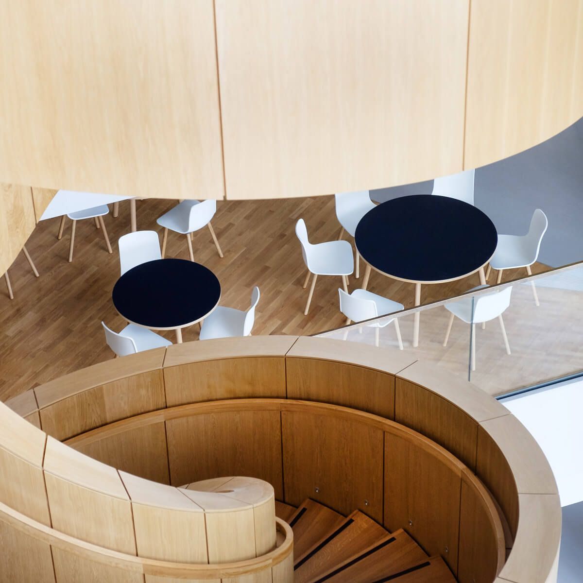 Silla Hal Wood - Vitra Silla Hal Wood - Vitra