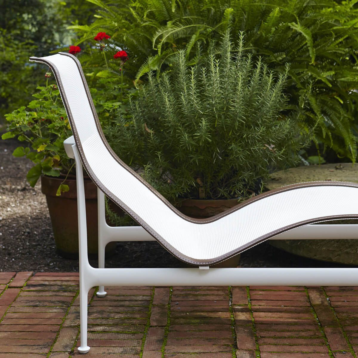 Tumbona Colección 1966 - Knoll