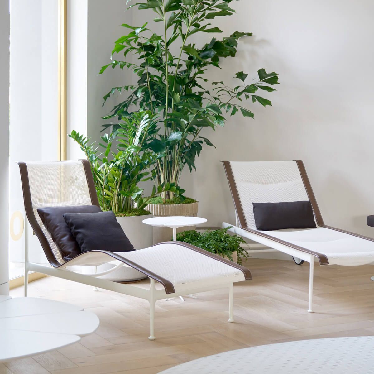 Tumbona Colección 1966 - Knoll
