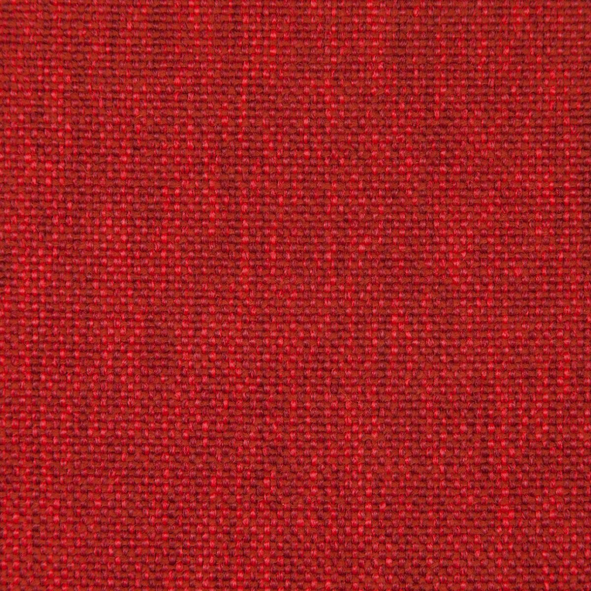 Savana 13e396