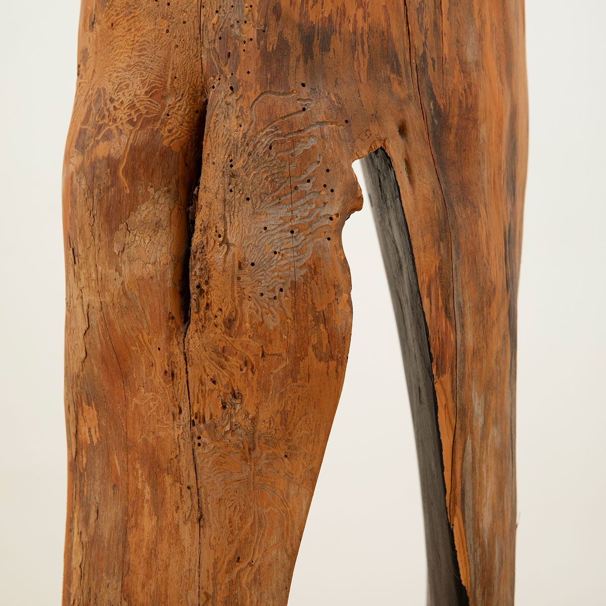 Escultura Federico Gómez Escultura Federico Gómez